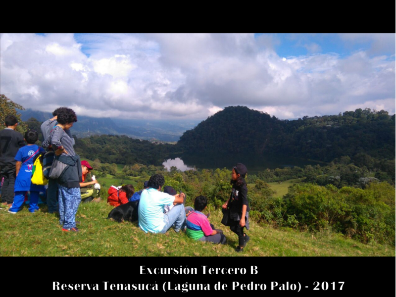 ljrj-excursiones-preescolar-primaria-2017-1