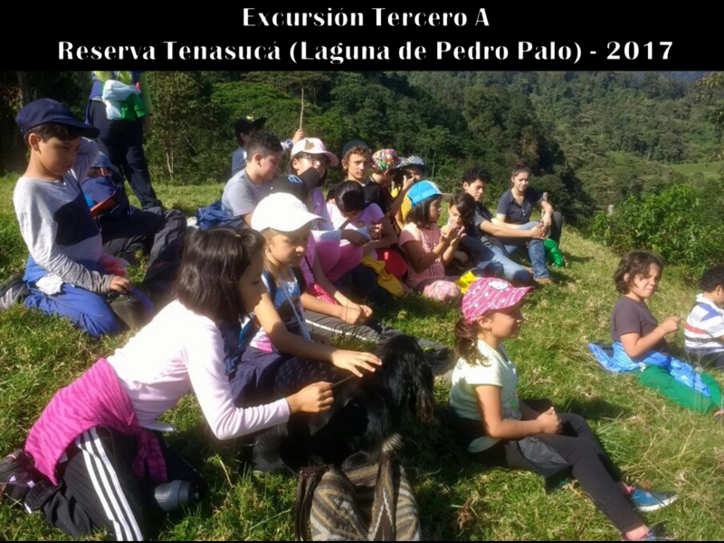 ljrj-excursiones-preescolar-primaria-2017-10