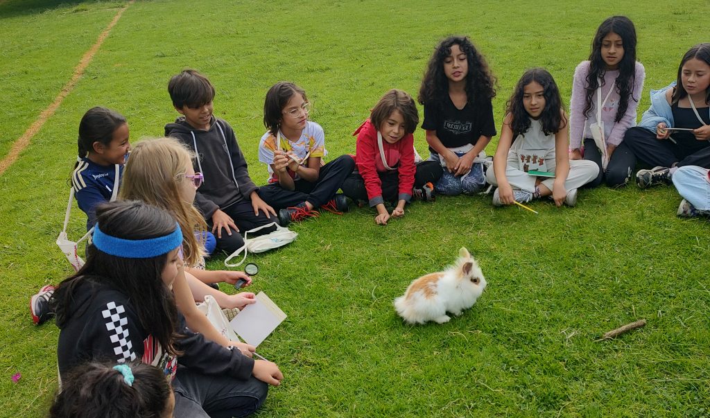 actividad colegio en cota